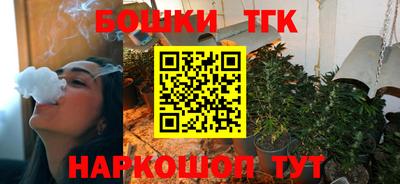 тгк Камышлов