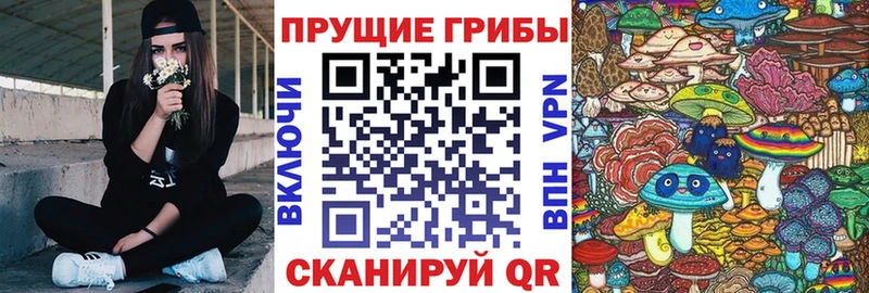 blacksprut   Людиново  Галлюциногенные грибы Cubensis 