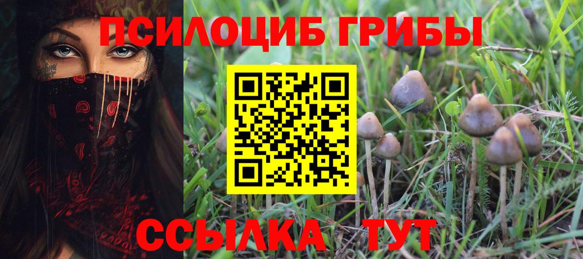 Псилоцибиновые грибы мухоморы  Галлюциногенные грибы Magic Shrooms  Людиново  Вход с VPN 