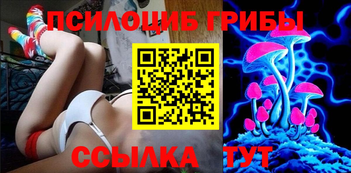 Псилоцибиновые грибы Psilocybe Людиново